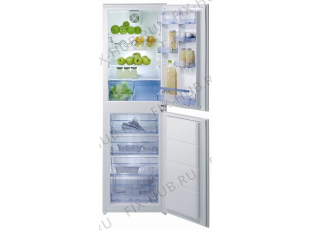 Холодильник Gorenje RKI4256W (150662, HZDI2526) - Фото